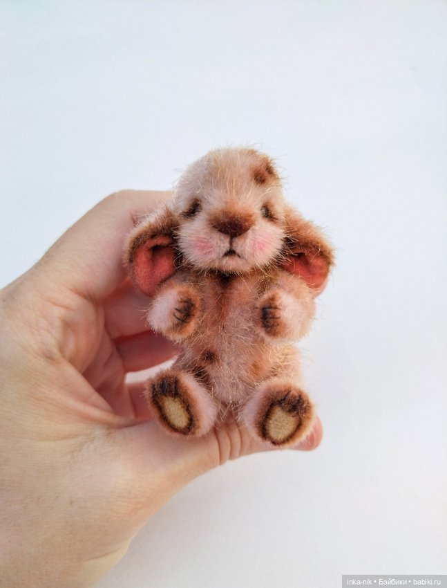 Последний зверик в этом году☺️ (фото 10)