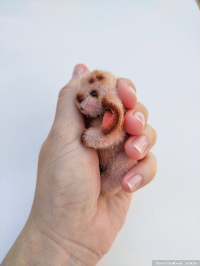 Последний зверик в этом году☺️