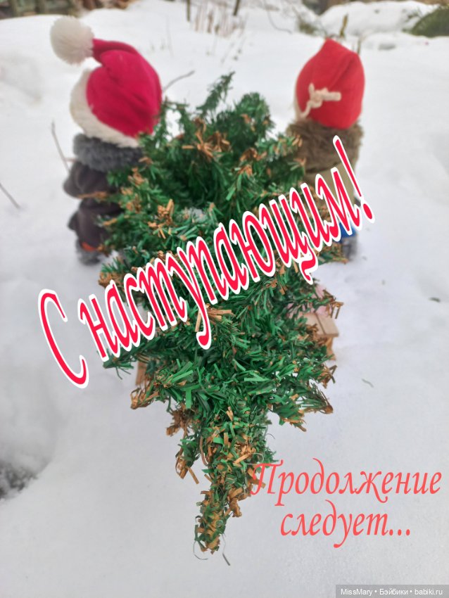 Весёлые картинки. "На саночках за ёлочкой"