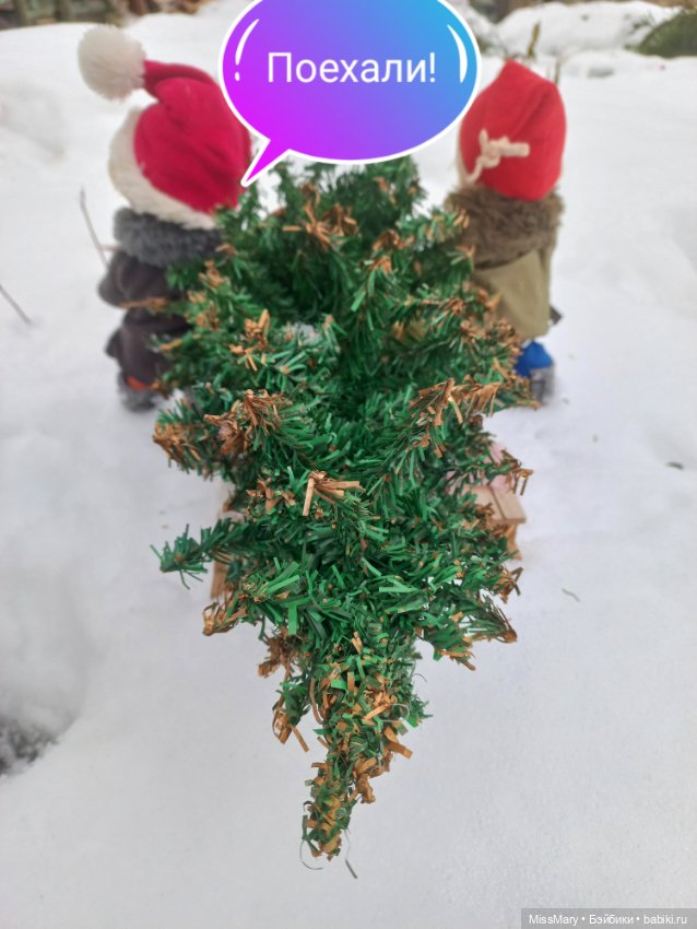 Весёлые картинки. "На саночках за ёлочкой"