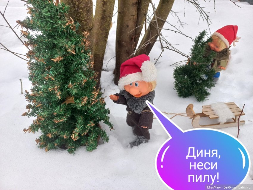 Весёлые картинки. "На саночках за ёлочкой"