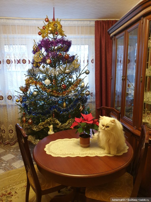 Наша ёлочка. Новогодний сюрприз для куколок Мокси тинз (фото 8)