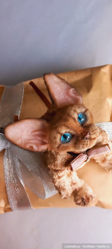 Котенок в стиле тедди. Девон рекс (фото 5)