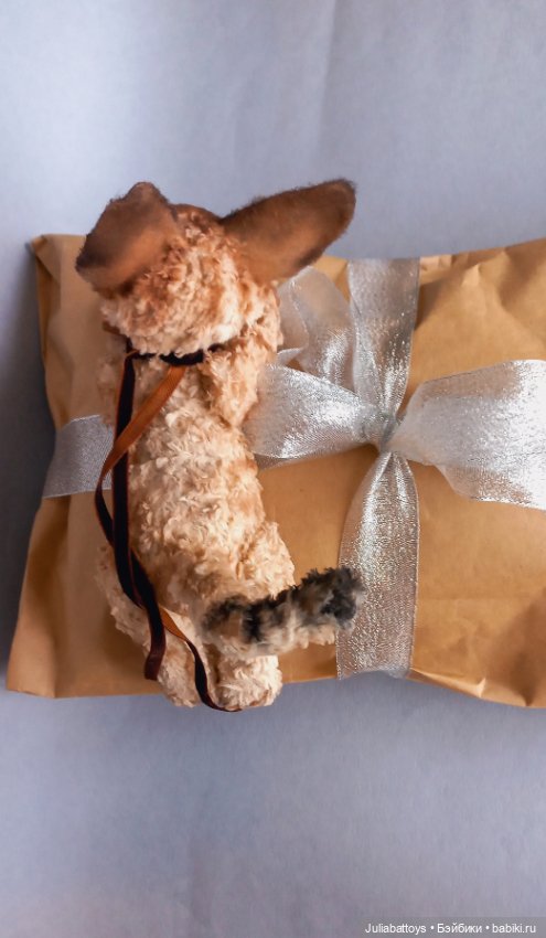 Котенок в стиле тедди. Девон рекс (фото 6)