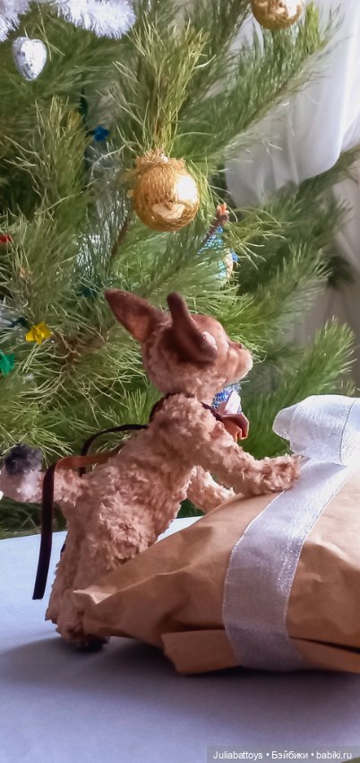 Котенок в стиле тедди. Девон рекс (фото 4)