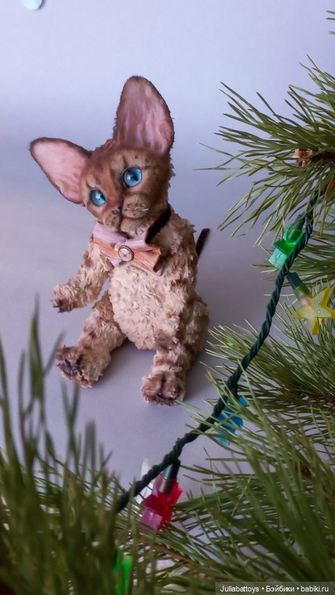 Котенок в стиле тедди. Девон рекс