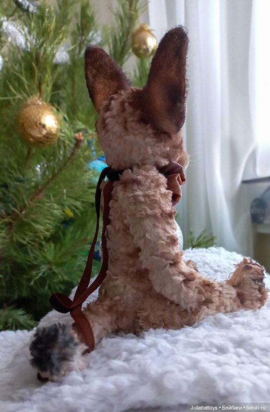 Котенок в стиле тедди. Девон рекс (фото 8)