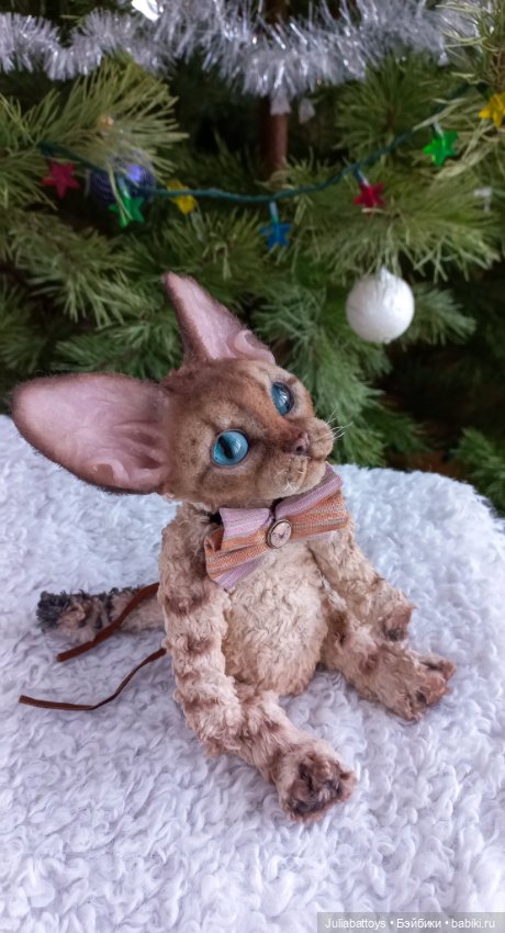 Котенок в стиле тедди. Девон рекс (фото 10)