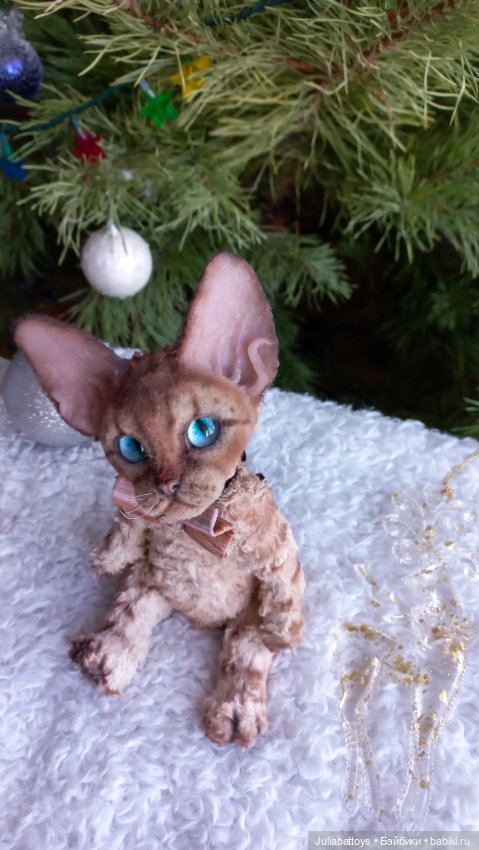 Котенок в стиле тедди. Девон рекс