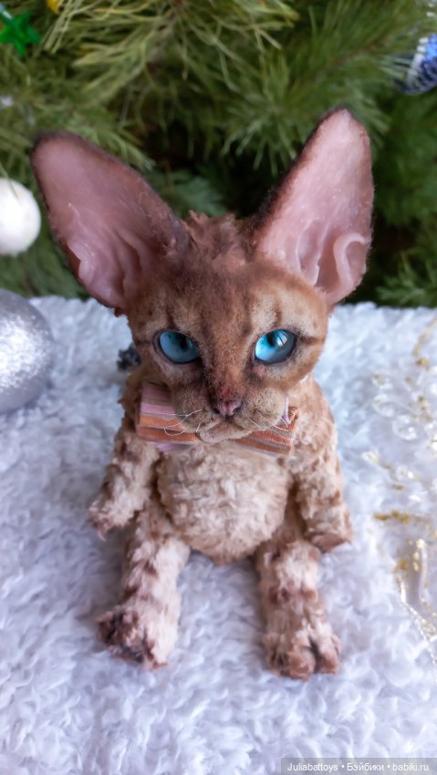 Котенок в стиле тедди. Девон рекс