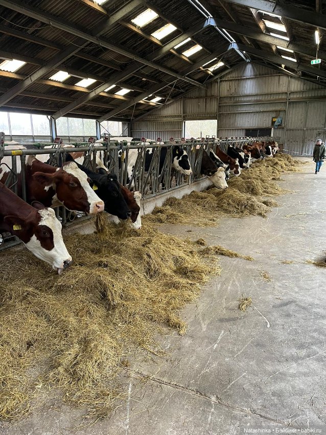 Fashion Dolls 463 — Туризм и путешествия: фотоотчеты из поездок