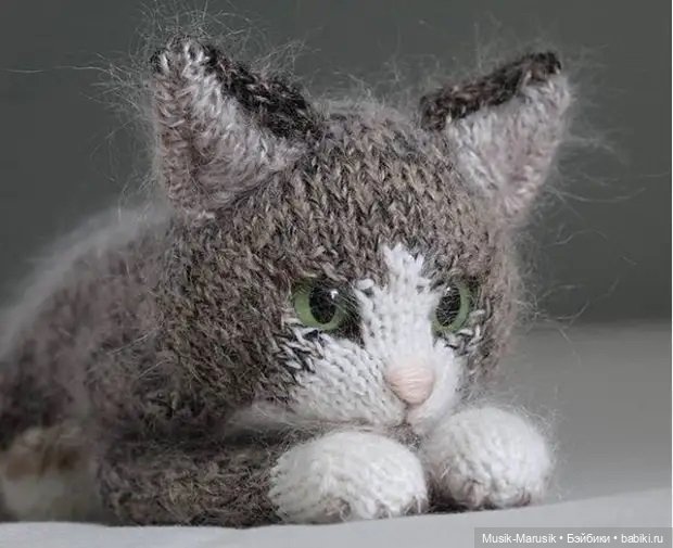 Милые котики: такие вязаные лапки и круглые животики «пощекочут» ваше сердце