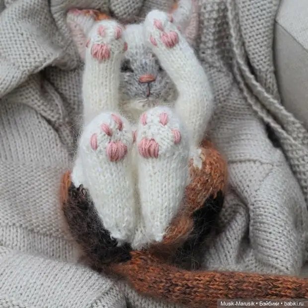 Милые котики: такие вязаные лапки и круглые животики «пощекочут» ваше сердце (фото 5)