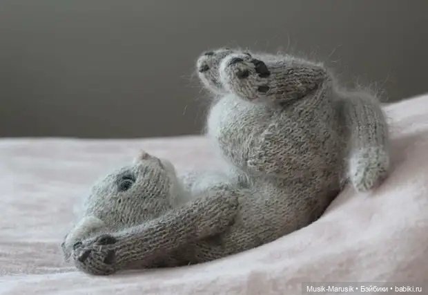 Милые котики: такие вязаные лапки и круглые животики «пощекочут» ваше сердце (фото 4)