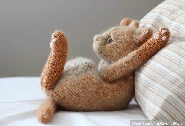 Милые котики: такие вязаные лапки и круглые животики «пощекочут» ваше сердце (фото 7)