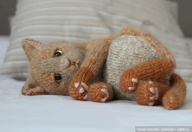 Милые котики: такие вязаные лапки и круглые животики «пощекочут» ваше сердце (фото 3)