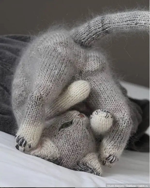 Милые котики: такие вязаные лапки и круглые животики «пощекочут» ваше сердце (фото 9)