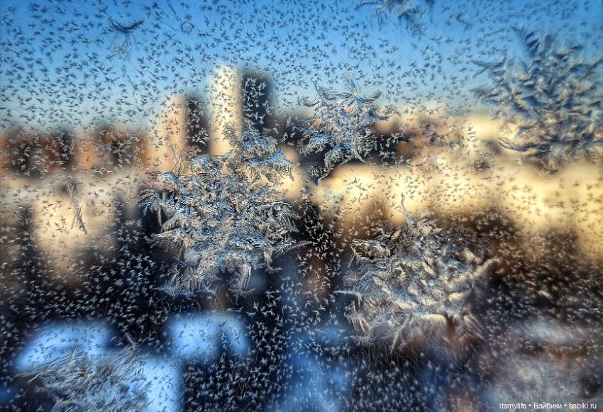 Веснушка Thornberry Торнберри и снежинки на окне❄️ (фото 6)