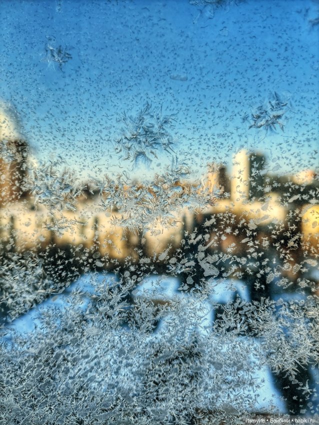 Веснушка Thornberry Торнберри и снежинки на окне❄️