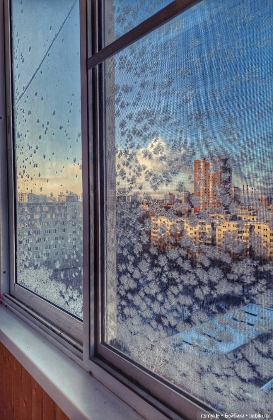 Веснушка Thornberry Торнберри и снежинки на окне❄️