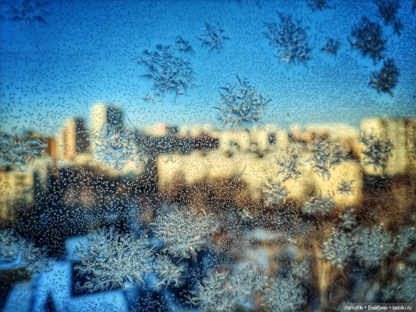 Веснушка Thornberry Торнберри и снежинки на окне❄️ (фото 8)