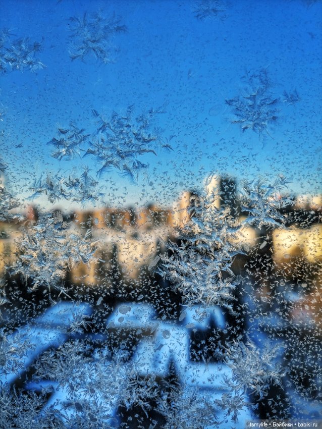 Веснушка Thornberry Торнберри и снежинки на окне❄️