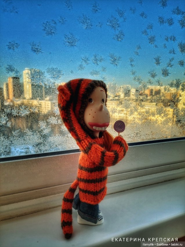 Веснушка Thornberry Торнберри и снежинки на окне❄️ (фото 2)