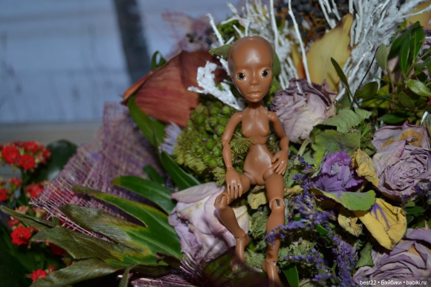 Amigata. Мастер Nothing Sapiens (фото 4)