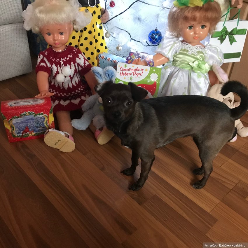 Сладкое настроение! (с предновогодней суетой)