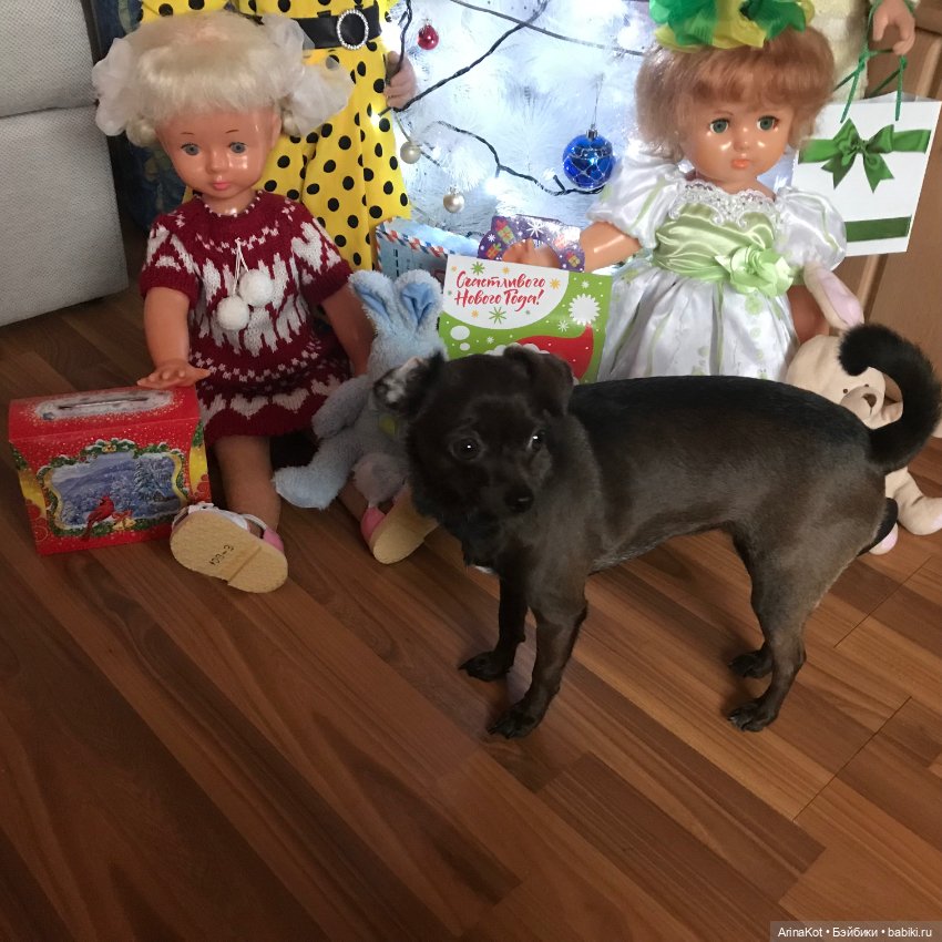 Сладкое настроение! (с предновогодней суетой)