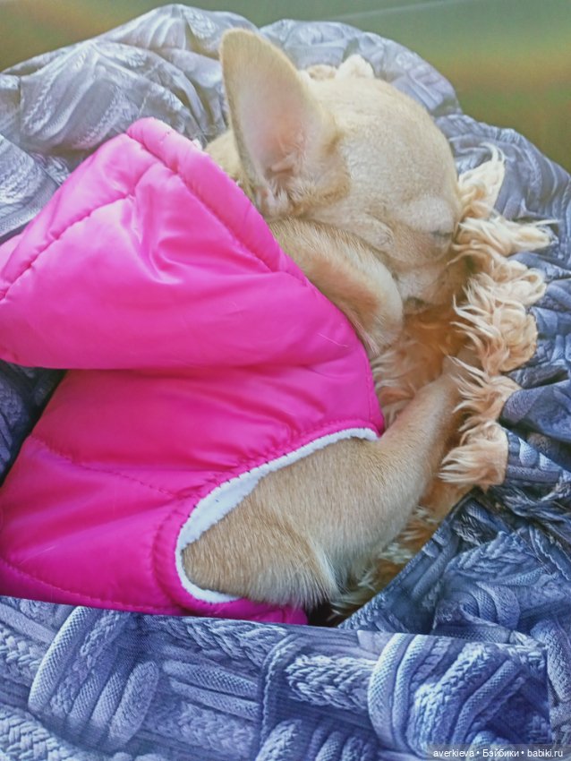 Собрались ...Собрались...Разобрались