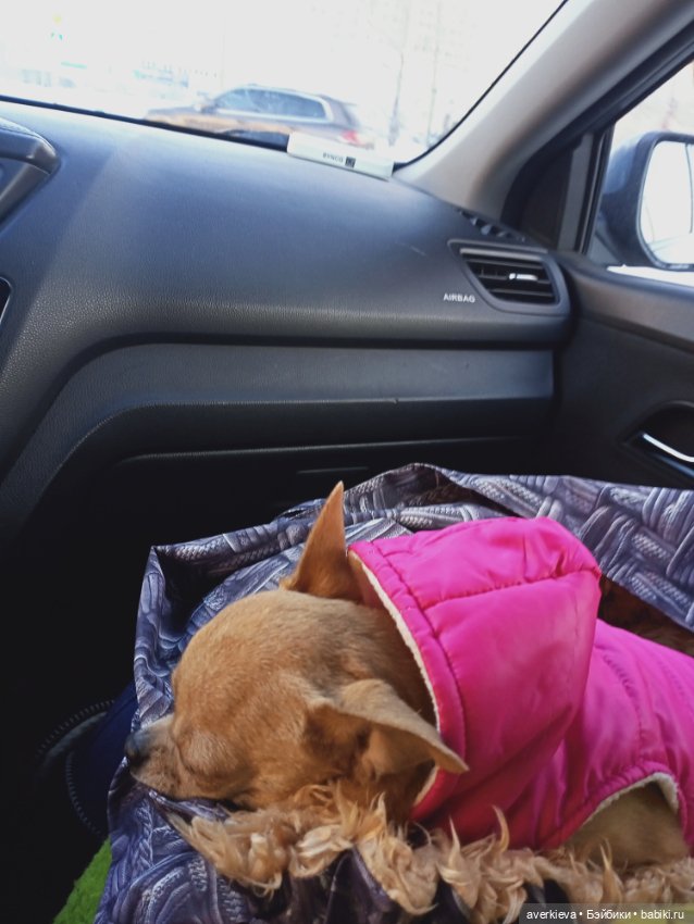 Собрались ...Собрались...Разобрались