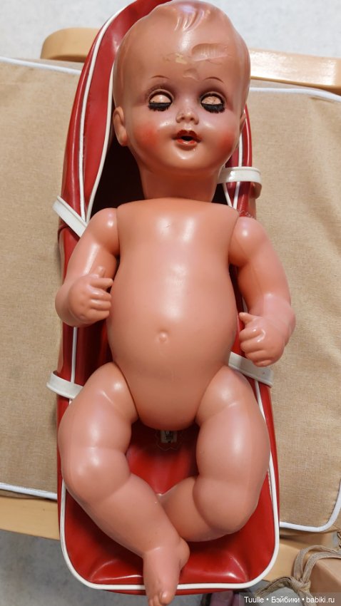 Его история неизвестна, но началась она 60 лет назад. Теперь его зовут Роджер (фото 9)