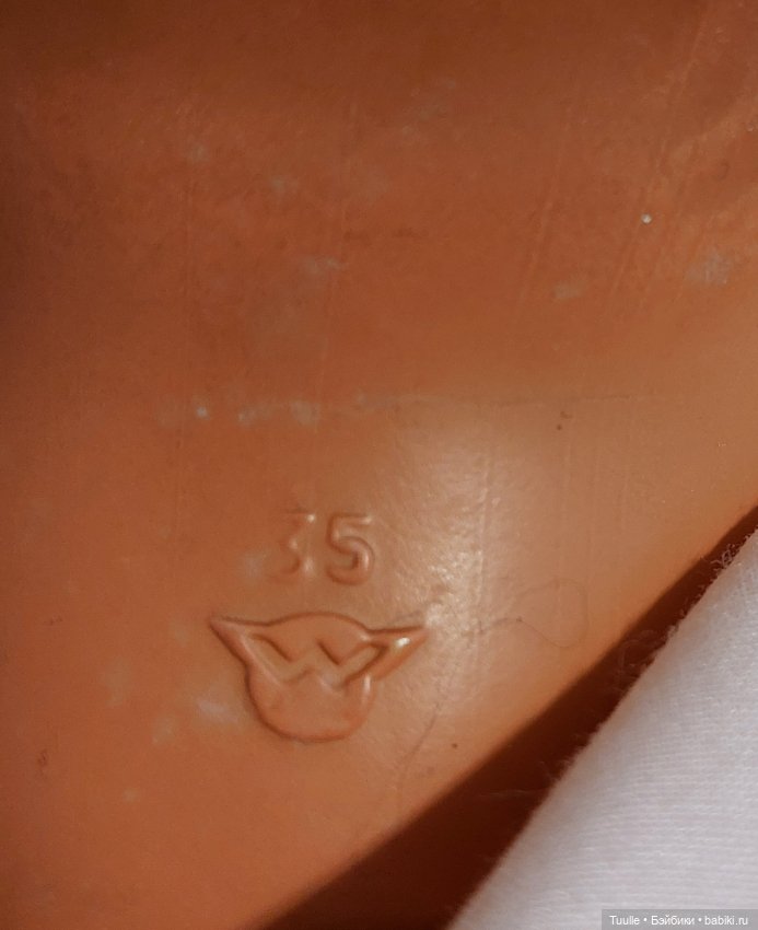 Его история неизвестна, но началась она 60 лет назад. Теперь его зовут Роджер (фото 5)