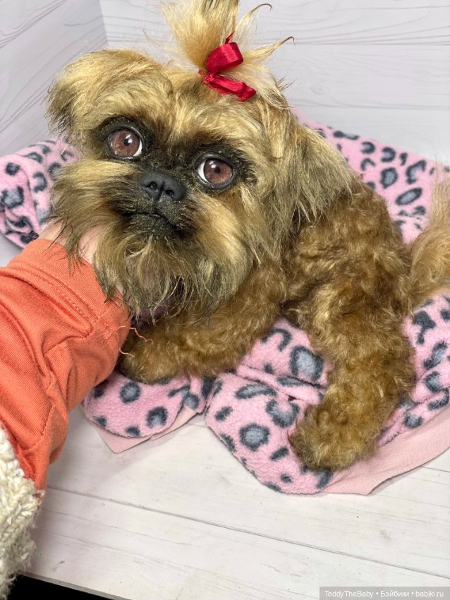 Бонни🐶 — Реалистичные игрушки и звери (Натюр): собаки