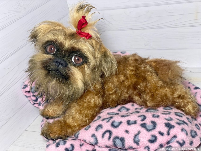 Бонни🐶 — Реалистичные игрушки и звери (Натюр): собаки (фото 8)