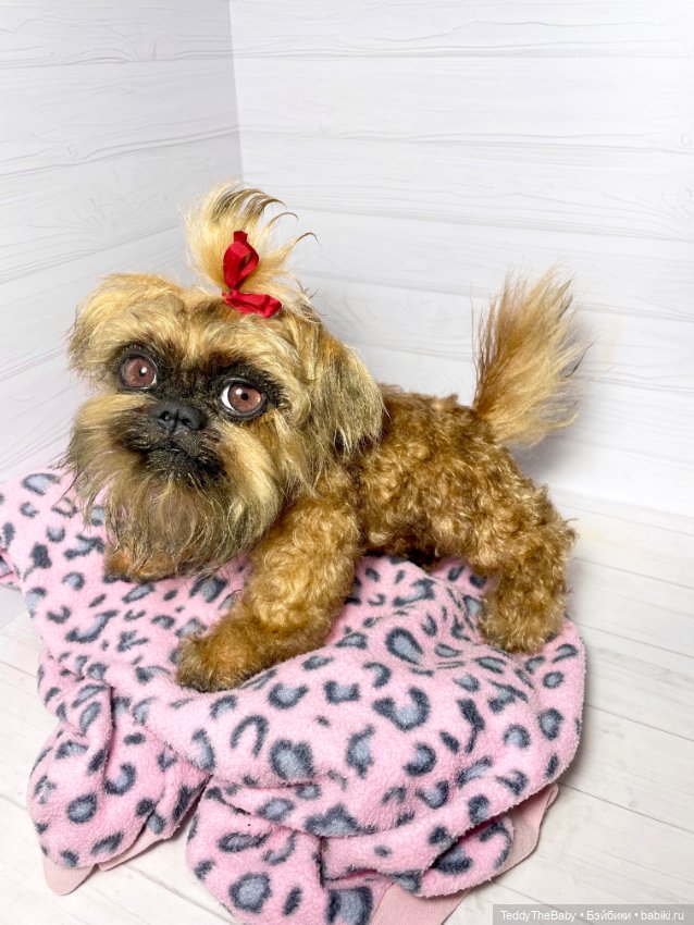 Бонни🐶 — Реалистичные игрушки и звери (Натюр): собаки