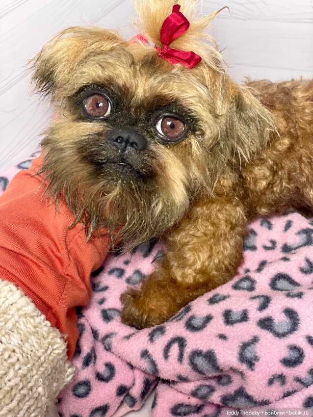 Бонни🐶 — Реалистичные игрушки и звери (Натюр): собаки