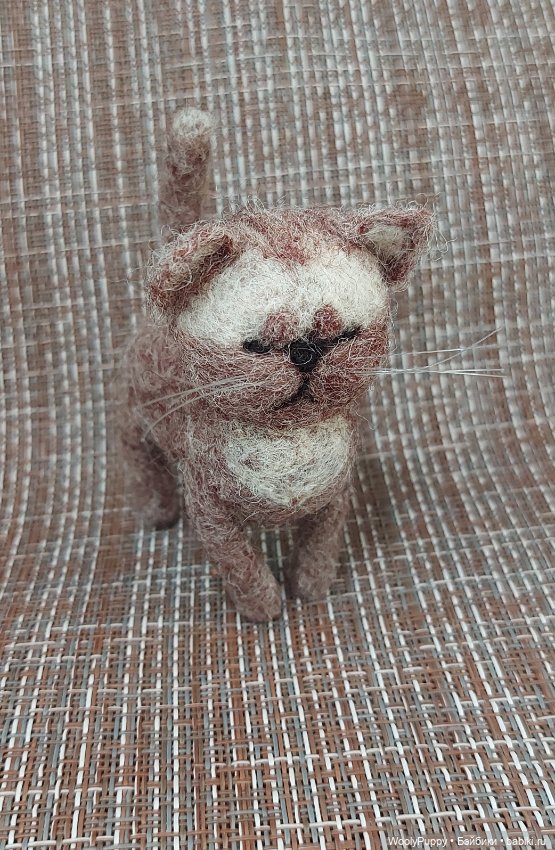 Филя - Котёнок-подросток - Продолжение Приключений Марселя (фото 2)