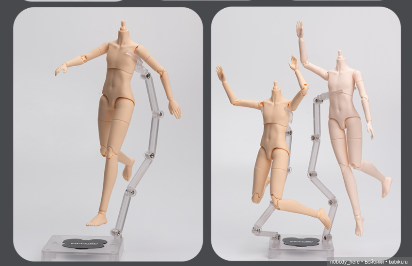 Piccodo, взрослое тело male