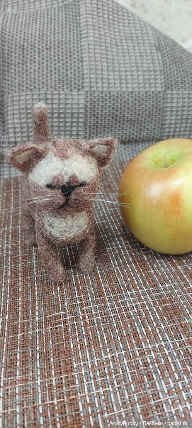 Филя - Котёнок-подросток - Продолжение Приключений Марселя (фото 4)