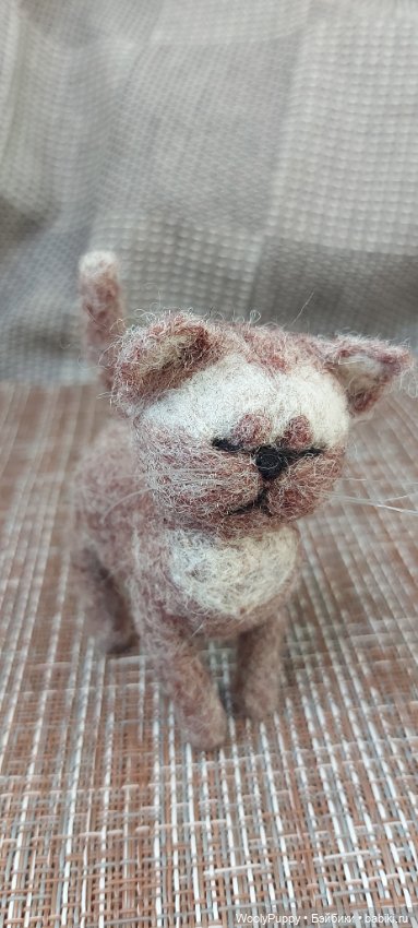 Филя - Котёнок-подросток - Продолжение Приключений Марселя (фото 3)