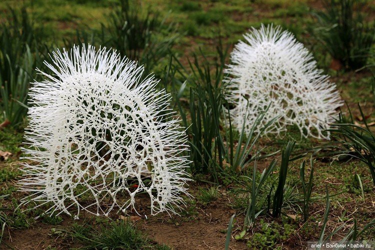 Cкульптуры органических существ от автора Суй Пак (Sui Park) (фото 3)