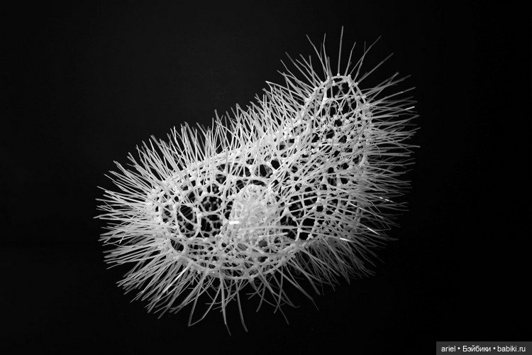 Cкульптуры органических существ от автора Суй Пак (Sui Park) (фото 10)