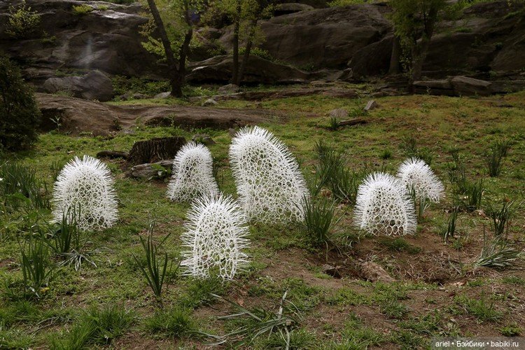 Cкульптуры органических существ от автора Суй Пак (Sui Park) (фото 8)