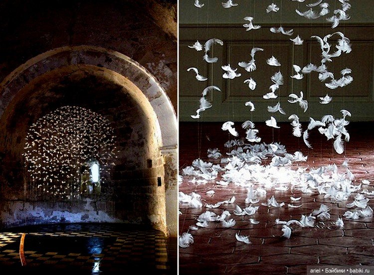 Удивительные инсталляции из перьев от Исы Барбье (Isa Barbier) (фото 5)