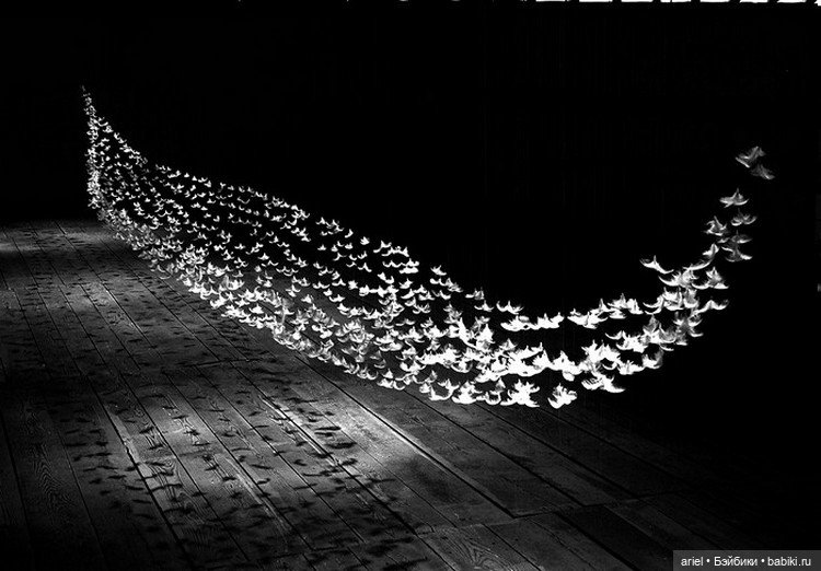 Удивительные инсталляции из перьев от Исы Барбье (Isa Barbier) (фото 3)