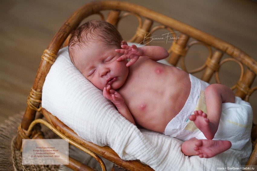 Romeo скульптора Severine Piret, автор прототипа Bianca Franke (фото 2)