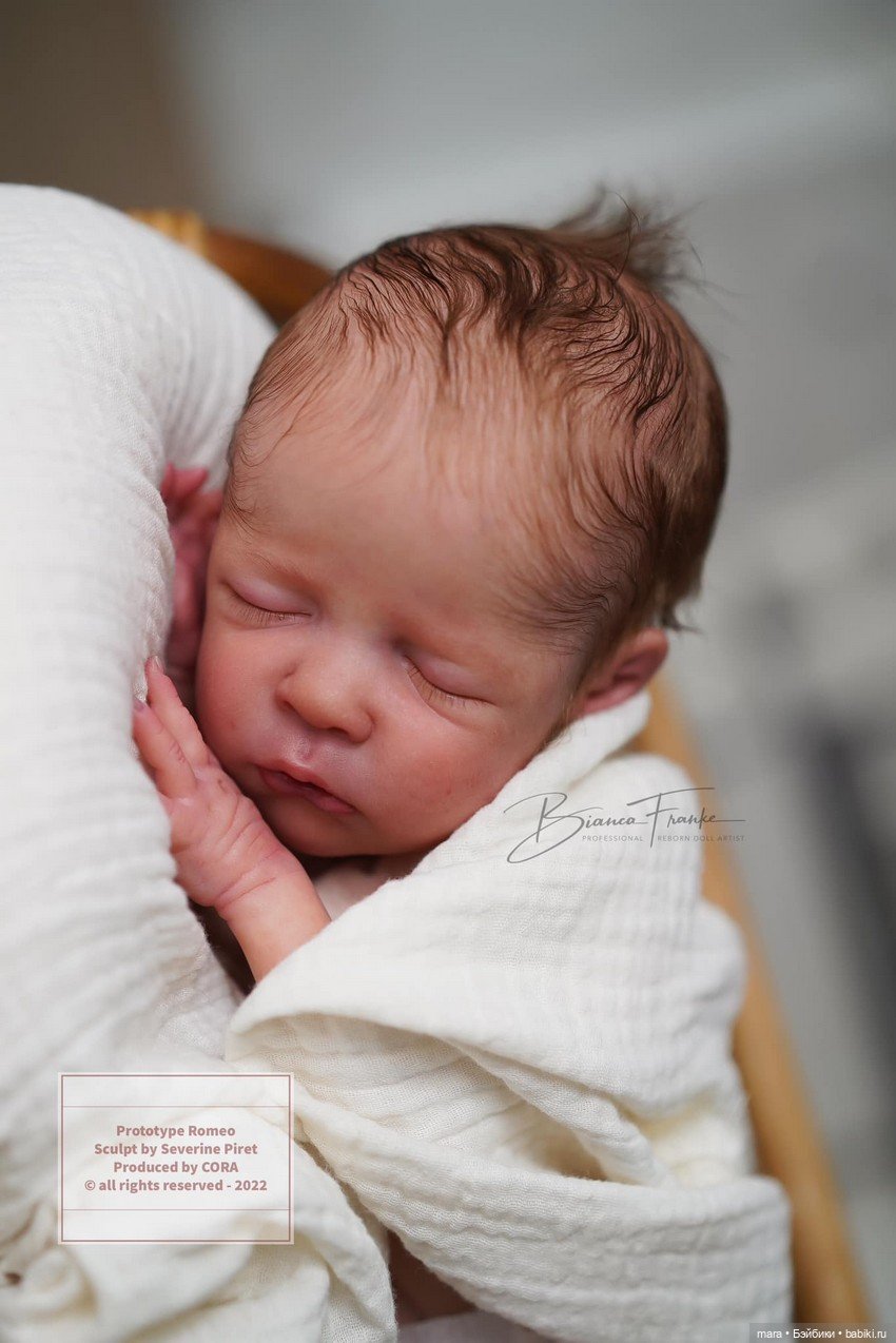 Romeo скульптора Severine Piret, автор прототипа Bianca Franke (фото 5)