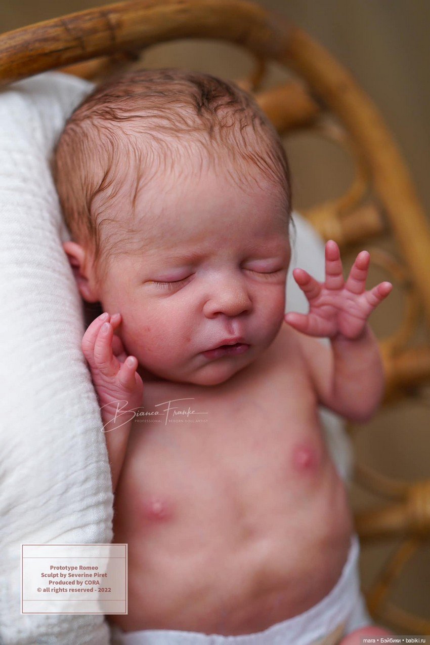 Romeo скульптора Severine Piret, автор прототипа Bianca Franke